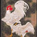 稲玉圭輔