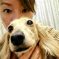 Yumi Hagiwara