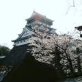 Norikazu Takezawa