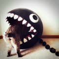 Miho.S