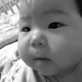 Kazu Yamamoto