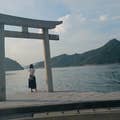 Shino.K
