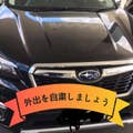 Ikedakei