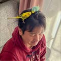 Takagi Kenichi