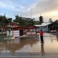 おすぎ ユミカ