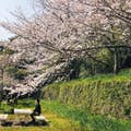 Toshifumi  Watanabe