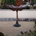 Takehiro Yoshimura