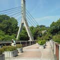 Toshiki.n