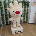 幸せの 代表