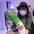 董凌子