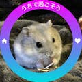 越野厚志