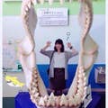 Kana Murai