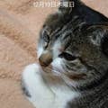 桜井隆行