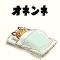 きくたまりこ