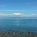 D Yamamoto