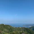 九島玲緒
