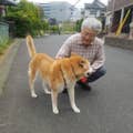小関洋