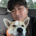 Ryo Yosikawa