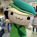 hideki k