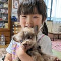 Saori Yamamoto
