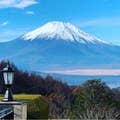 FUJIMURA SHUNKA