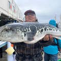 安井芳彦