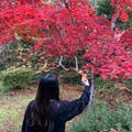 S.Mizuki