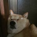 katsura.y