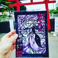 Y.kazu