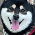 砂山大輔