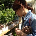 Kaori  Miyata
