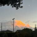 長谷川 佳樹