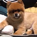 近藤 弥生