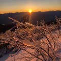神山 とくみ