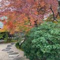 日守 理恵子