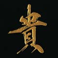 岩崎 貴将