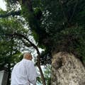西泰弘