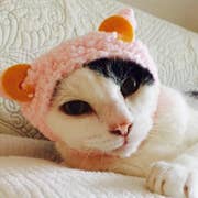 Chiho.k