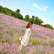 Maiko.T