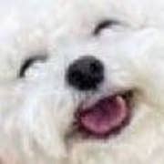 K.どううら