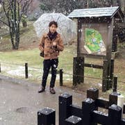 Koki Tsuneizumi