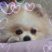 Rieco.H