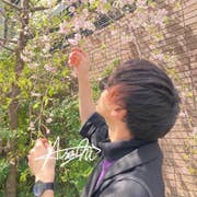 Inada Arashi