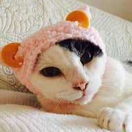 Chiho.k