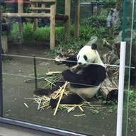 鈴木 正弘