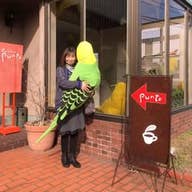 Amari Mariko Horii
