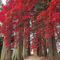 山口典子