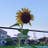 Shinichi Takase