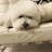 Yuko.H