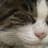 Keiko Terao